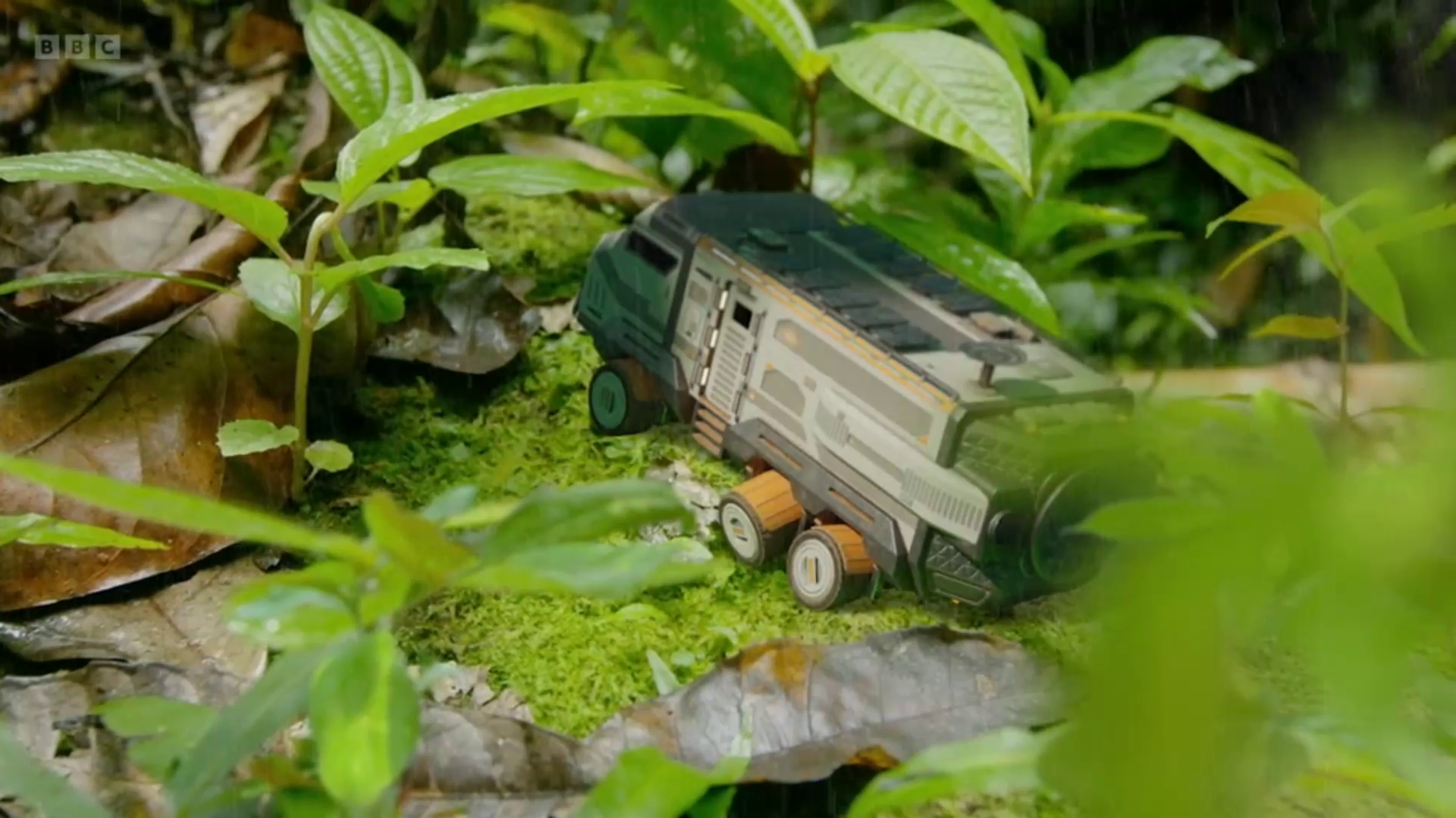 Lovely Explorer