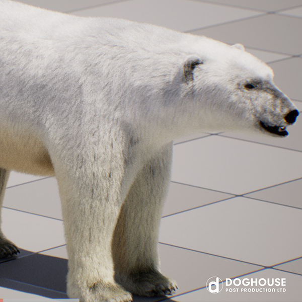 Predator V Prey Detail